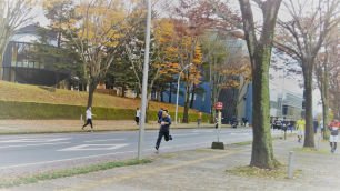 181110ekiden3.jpg